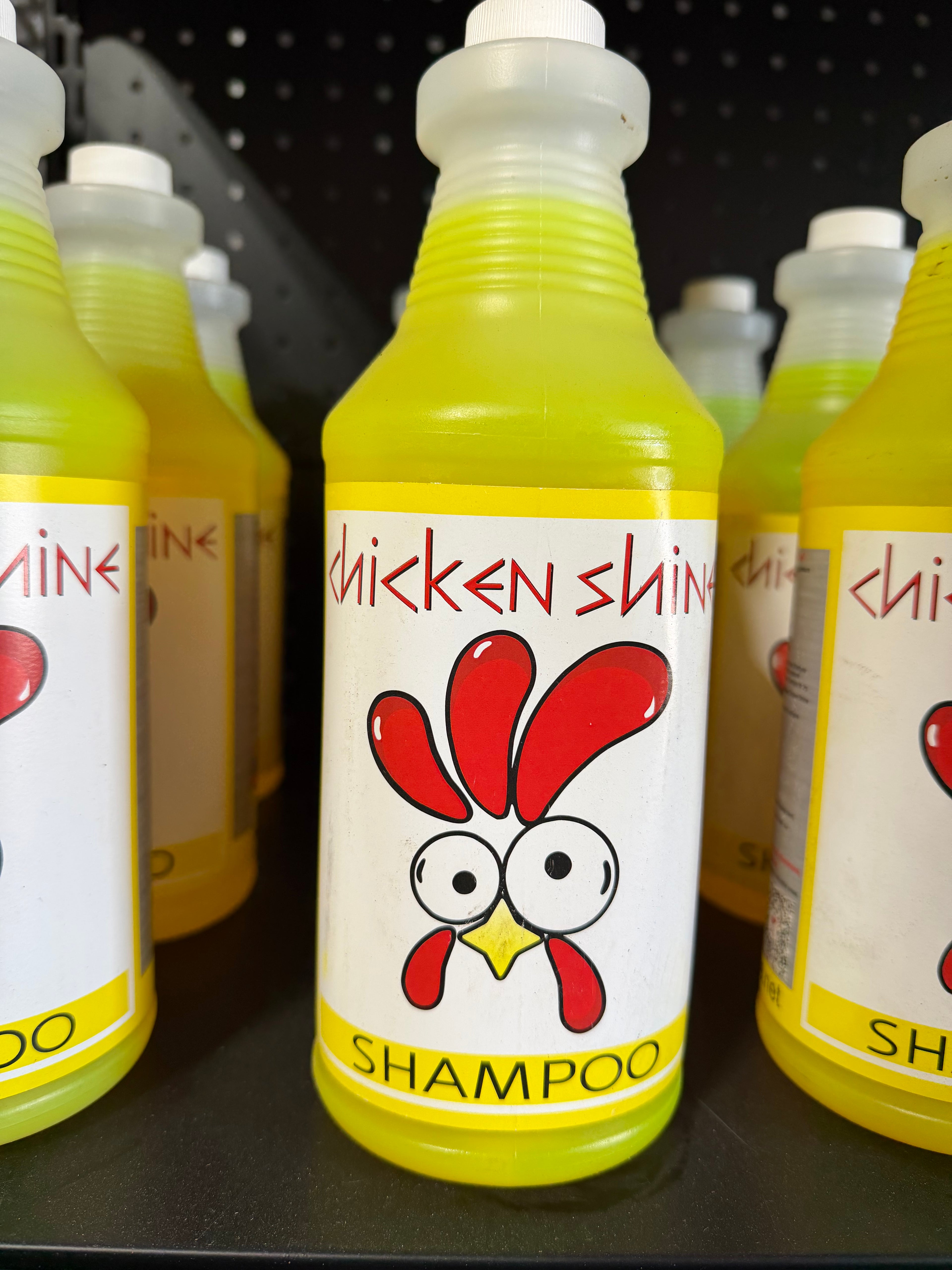 Chicken Shine - Shampoo